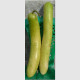 Семена лагенарии «Большая зеленая колбаса» 