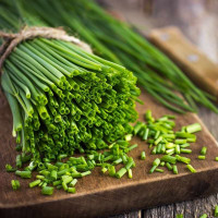 Насіння цибулі «Ластівка»