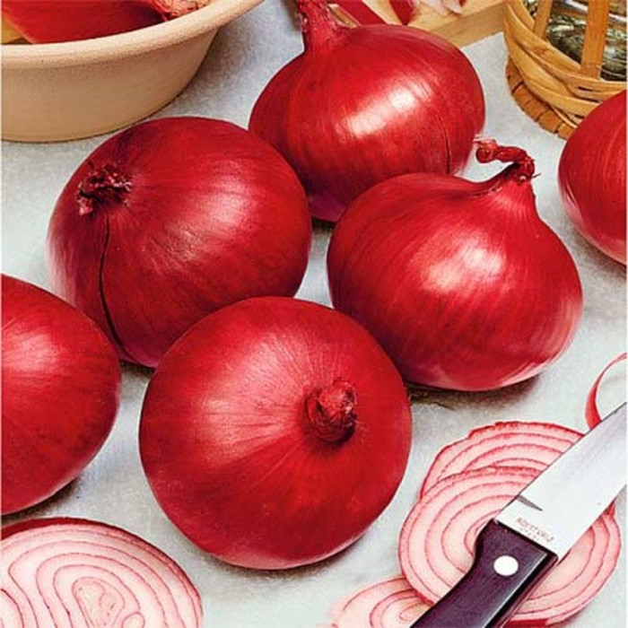Onion seeds «Ruby»