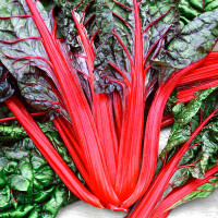 Семена мангольда «Кобзарь»