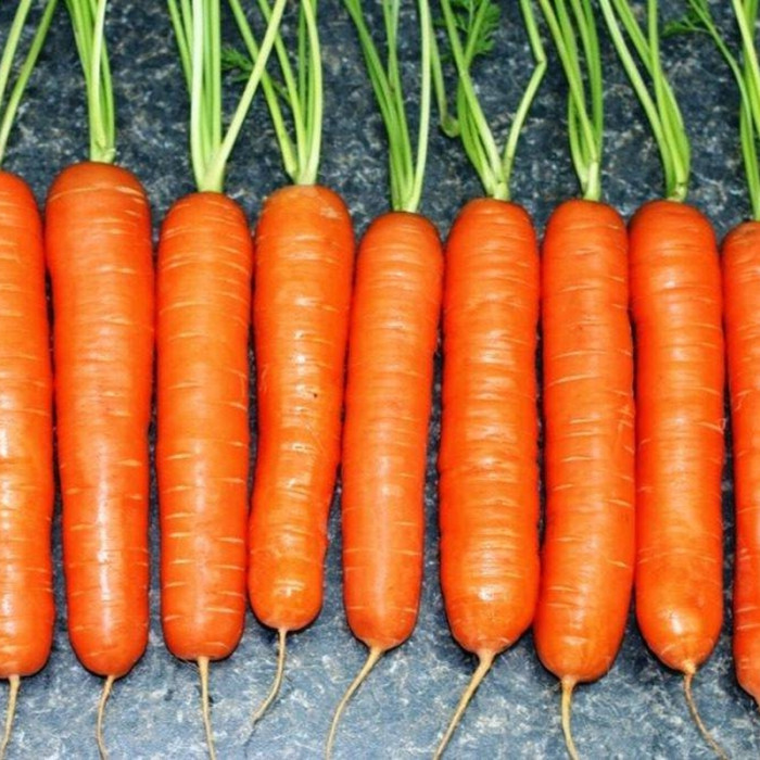 Насіння моркви «Яскрава»