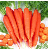 Carrot seeds «Artek»