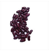 Bean seeds «Kalynka Nizhynska»