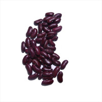 Насіння квасолі «Калинка Ніжинська»