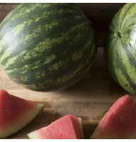 Watermelon seeds «Wizard»