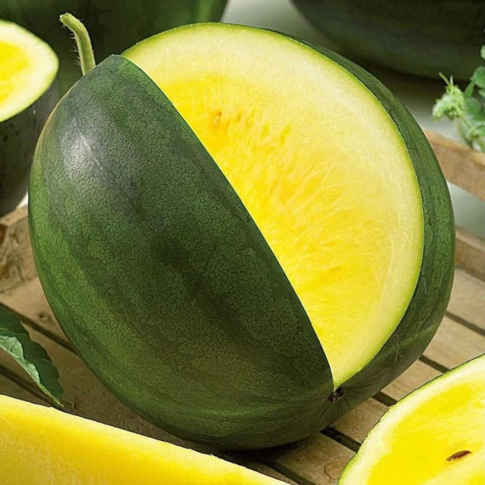 Watermelon seeds «Janosik»