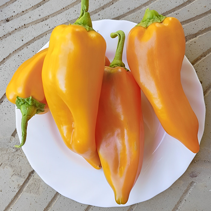 Sweet pepper seeds «Carpathia»
