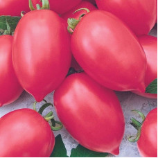 Насіння томату «Тарасенко рожевий»