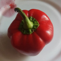 Sweet pepper seeds «Alenka»