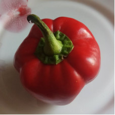 Sweet pepper seeds «Alenka»