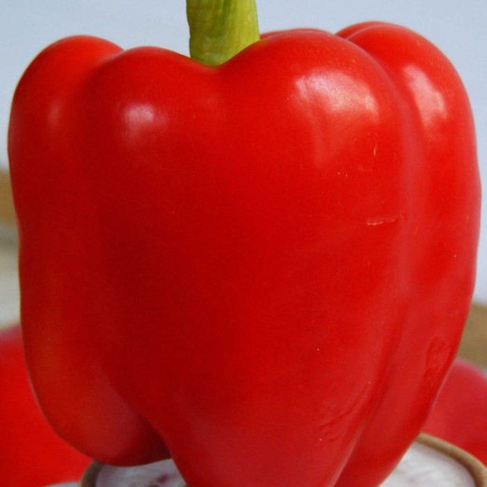 Sweet pepper seeds «Svetozar»