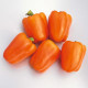 Sweet pepper seeds «Gourmet»