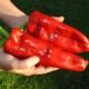 Sweet pepper seeds «Marconi Red»