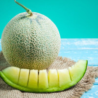 Семена дыни «Медовая роса»