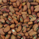 Cowpea seeds «Chinese»