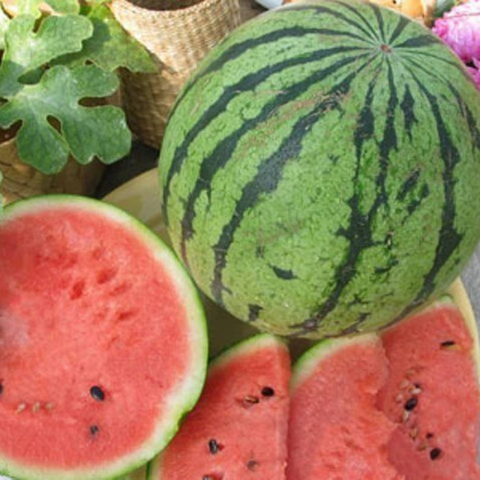 Watermelon seeds «Great Beijing Joy»