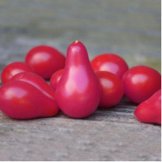 Tomato seeds «Pear pink» 