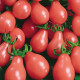 Tomato seeds «Pear pink» 