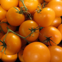 Семена томата «Мармеладный»