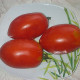 Tomato seeds «Stuffing» 