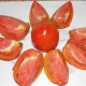 Насіння томату «Шахерезада»