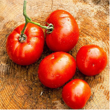 Насіння томату «Червоний півень»