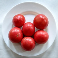 Насіння томату «Рожеве рафаелло»