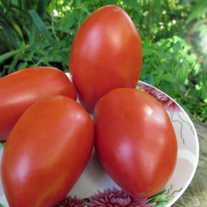 Насіння томату «Удавчик»