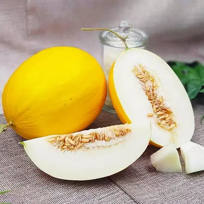 Melon seeds «Muscat» 