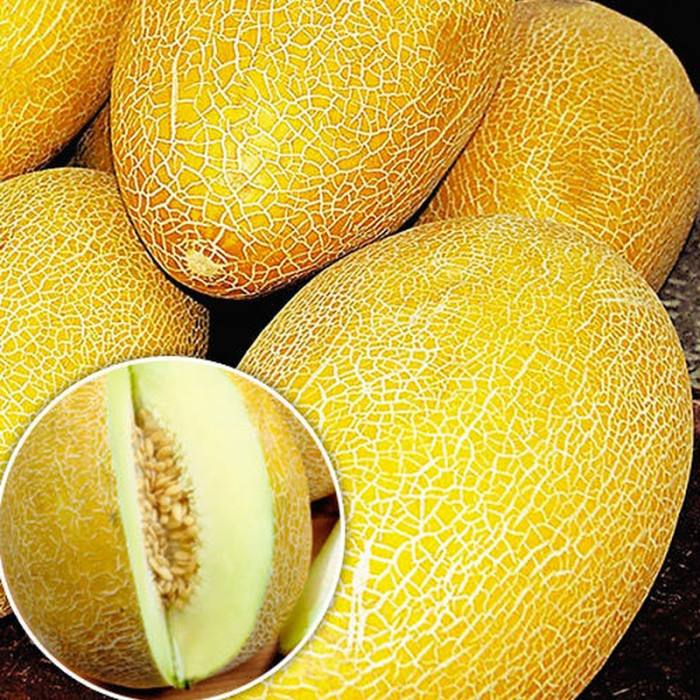 Melon seeds «Sweet pineapple»