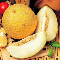 Семена дыни «Сладкое чудо»