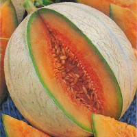 Melon seeds «Sweet Tooth»