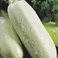 Squash seeds «White Swan»