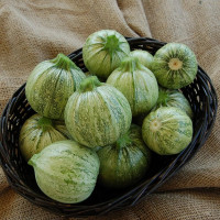 Squash seeds «Nice»