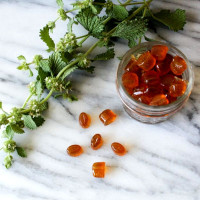 Семена шандры обыкновенной