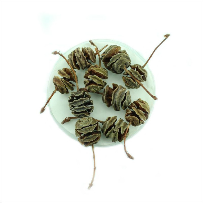 Metasequoia chinese seeds
