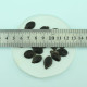 Malabar gourd seeds