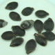 Malabar gourd seeds