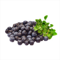 Семена черники обыкновенной