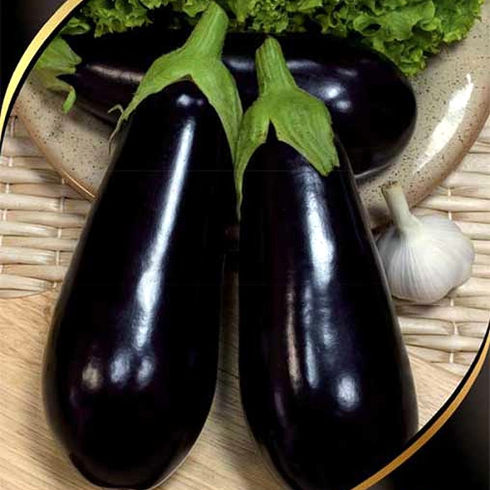 Eggplant seeds «BBQ» F1
