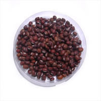 Cowpea seeds «Adzuki»