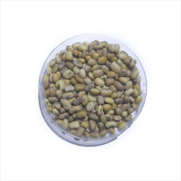 Семена фасоли «Людмила»