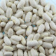 Bean seeds «Sonesta»