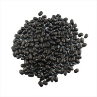 Насіння квасолі «Чорна черепаха»