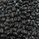 Семена фасоли «Чёрная черепаха»