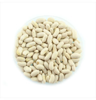 Bean seeds «Golden Saxa»