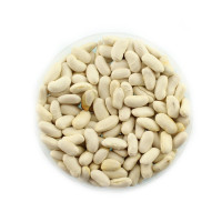 Семена фасоли «Ксения»