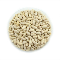 Насіння квасолі «Оріноко»