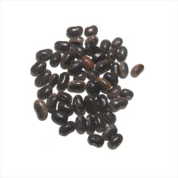 Bean seeds «Marble»