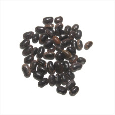 Bean seeds «Marble»